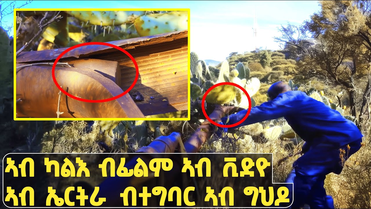 EMN -   ዘገርም ብቅዓት ኤርትራውያን | ቦታ ውዕሎ |  3ይ ክፋል | ኮማንደር ቑጽሪ 1 ተጋ ኣብርሃም በርህ   - Eritrean Media Network