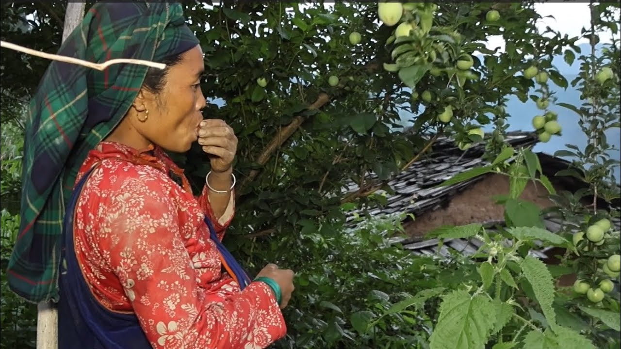 Mother is picking up seasonal fruits | Rural life Dorfleben La vida del pueblo La vie du village