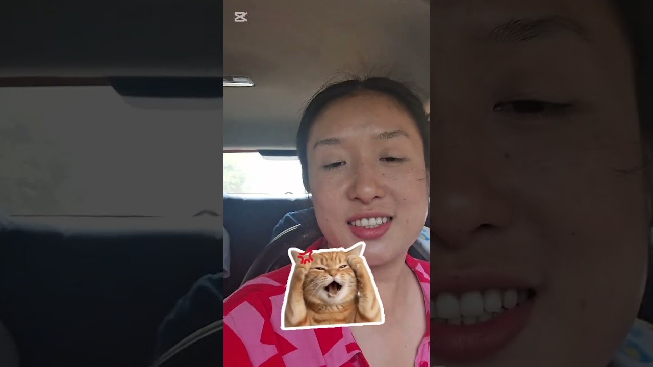 A short trip with family 