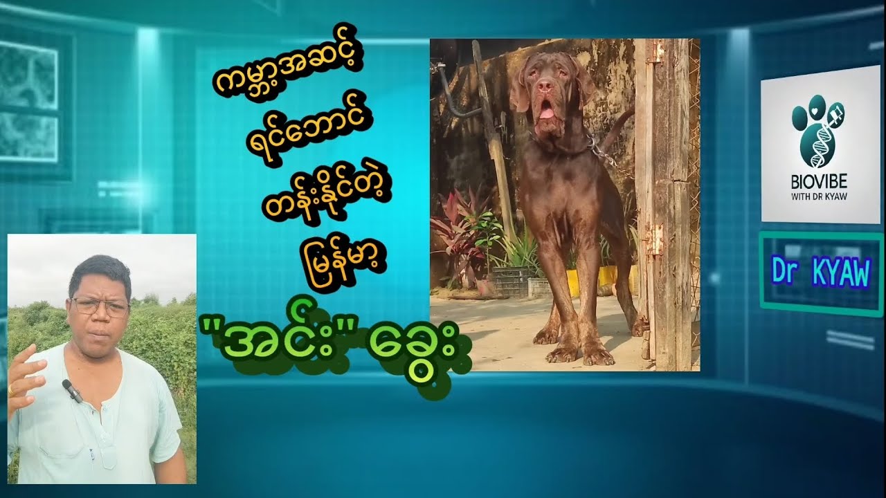 မြန်မာ့ 