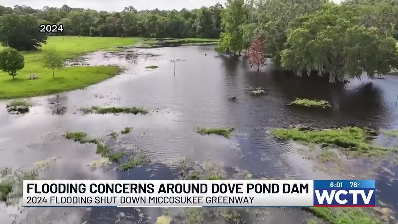Environmentalists warn Tallahassee dam remains at risk for flooding