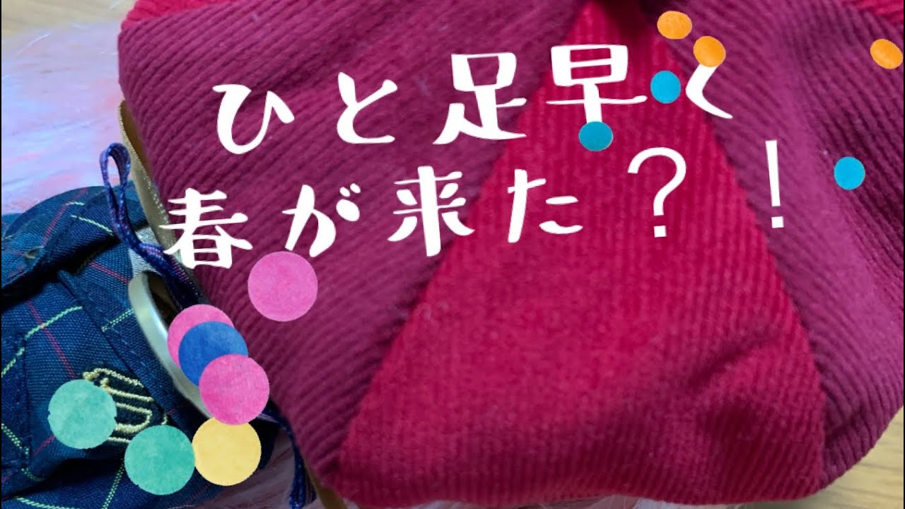 【ネオブライス】【開封動画】ひと足早く春が来た！？