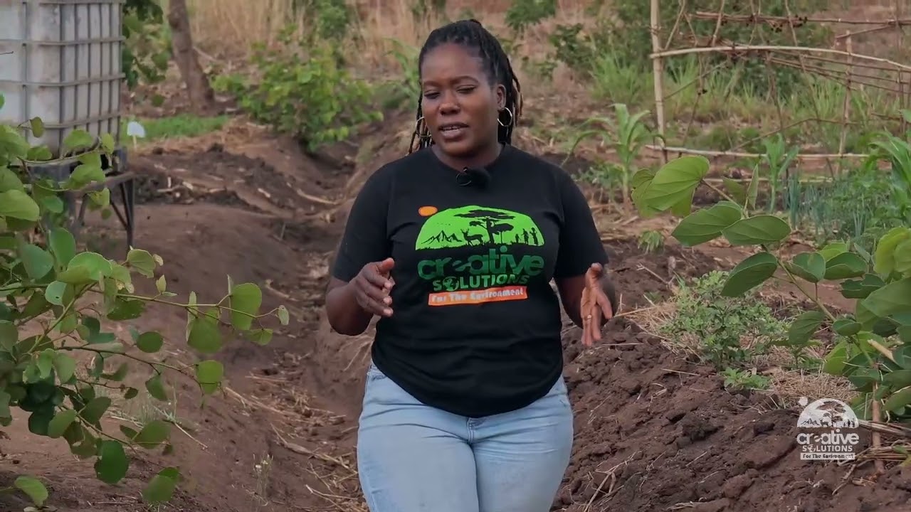 Introducing Nkhalango Forest Haven 2023