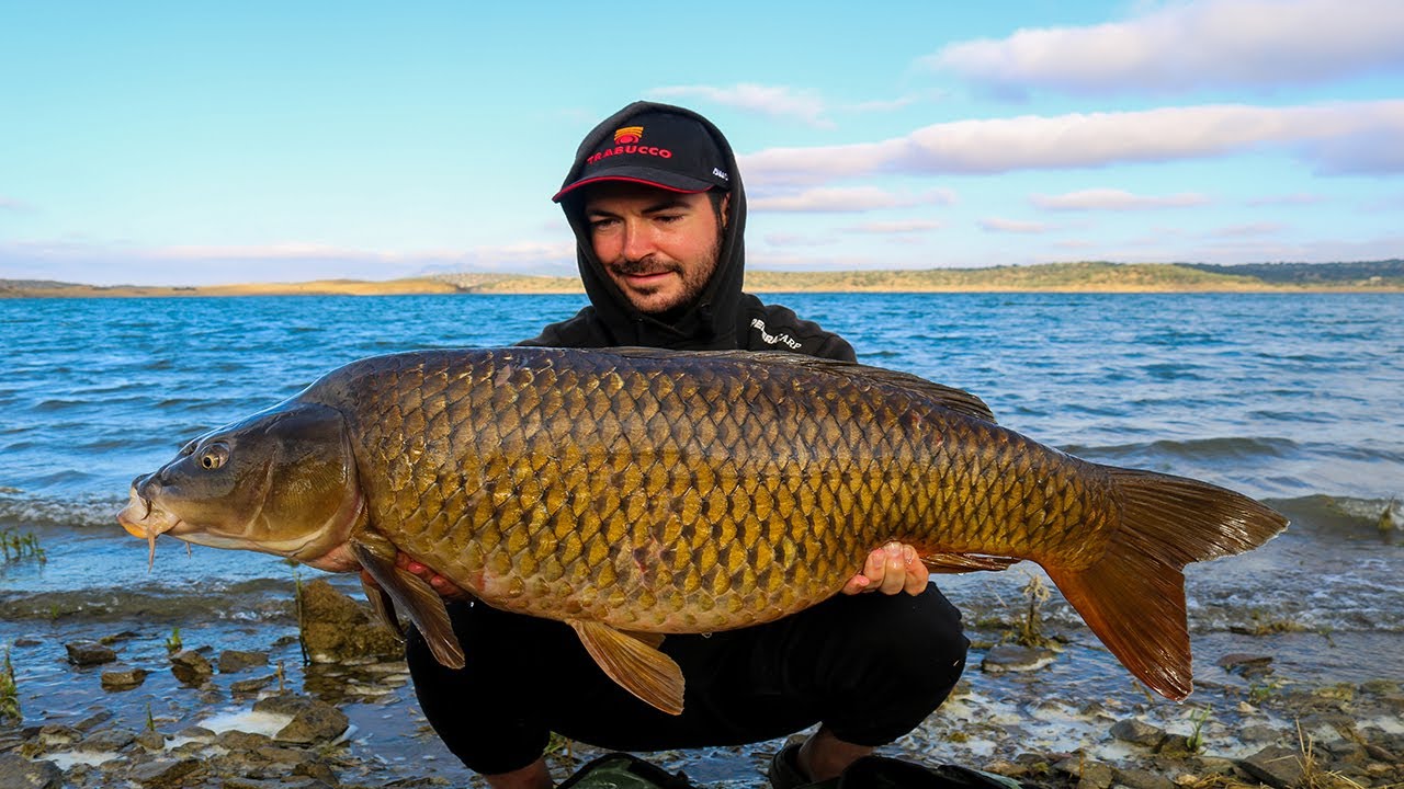 Carpfishing 2020 // Orellana Summer | HD