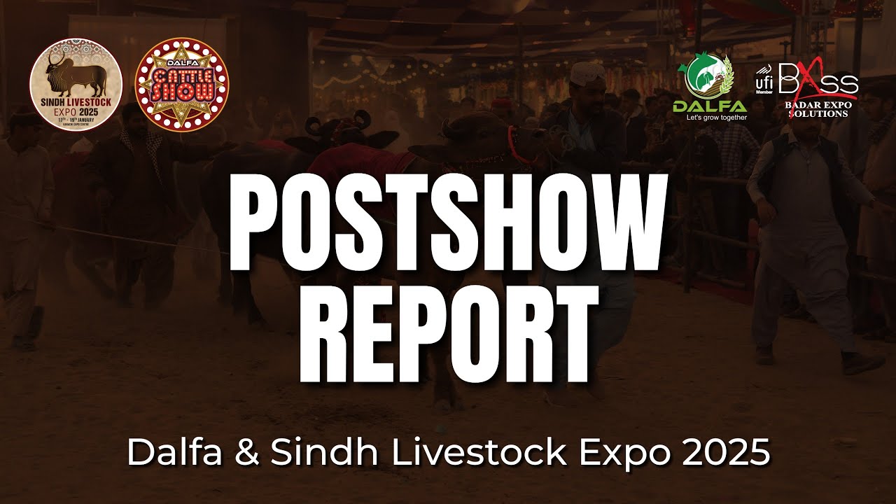 Выставка DALFA и Sindh Livestock Expo 2025 | Крупнейшая в Азии выставка крупного рогатого скота -...