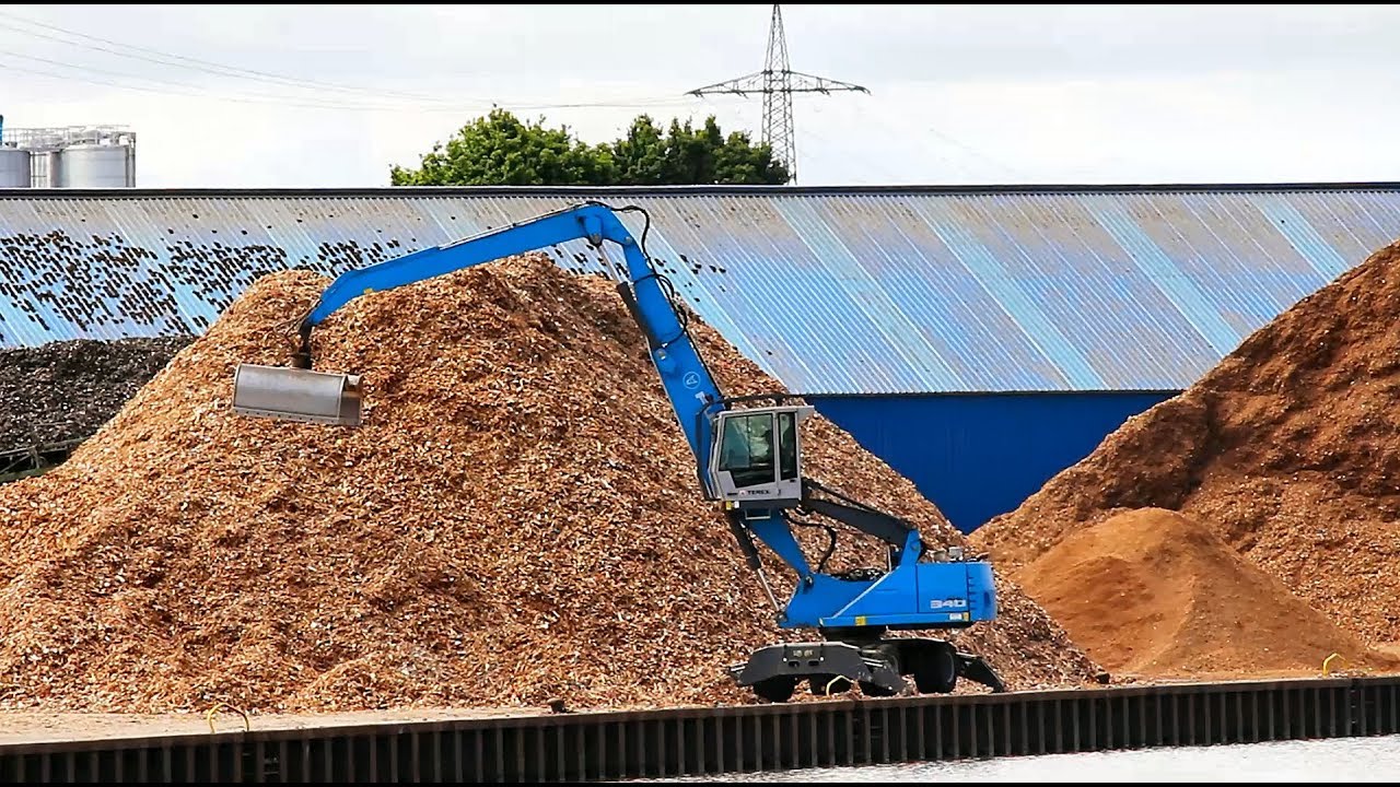 Umschlagbagger Terex Fuchs MHL340 2019 / Material handler Terex Fuchs MHL340