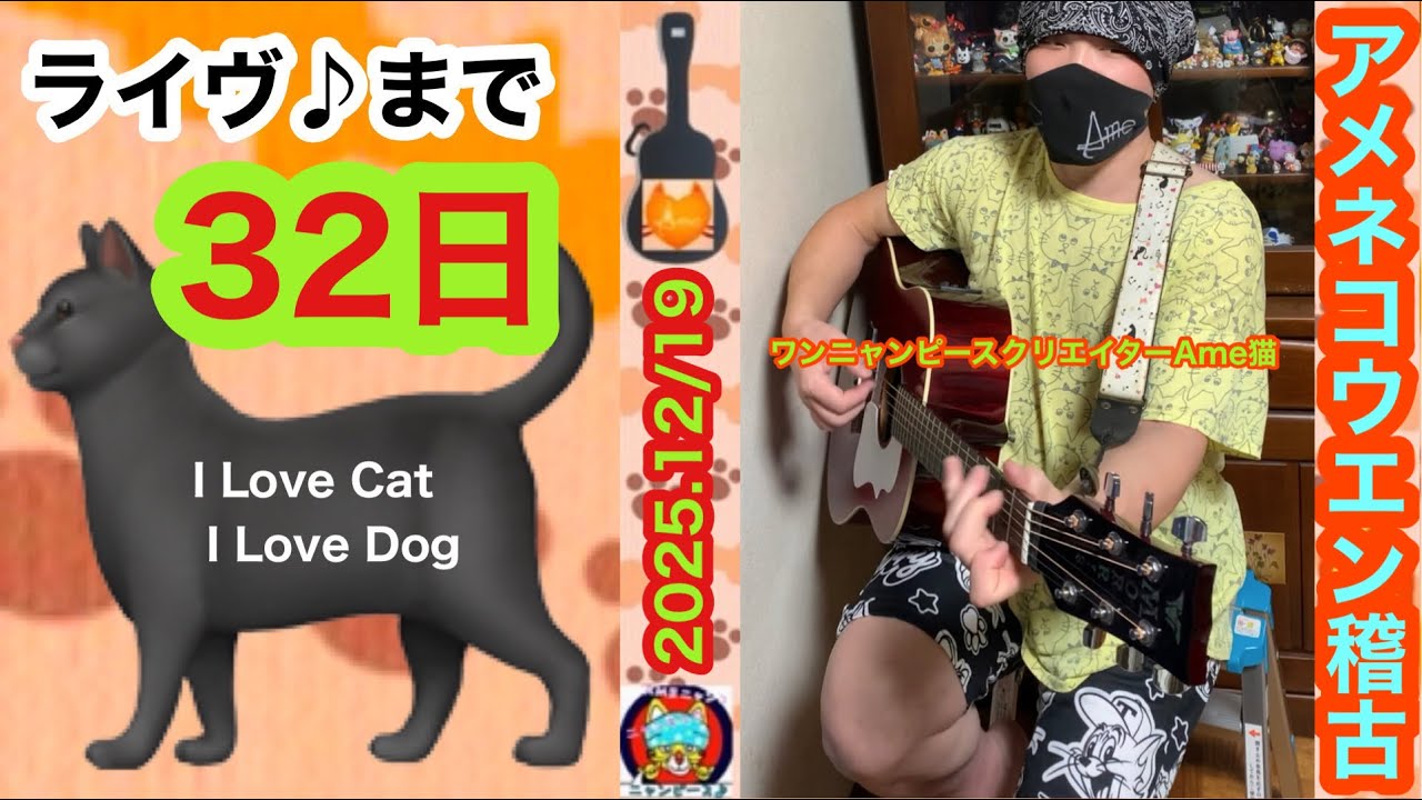 🐈‍⬛ 来春タワーレコード【 まねきねこ / ダッキー 】💿CD発売😻次回のAme猫ライヴ♪ は 2026.1/20 Tue. 東京自由が丘グランチェルト⏰時間まだ未定…おってお知らせしますニャン😻