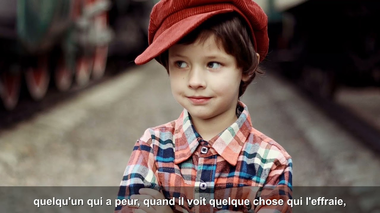 PIRKEI AVOTE #4 - INTELLIGENCE &Eacute;MOTIONNELLE VS INTELLIGENCE INTELLECTUELLE #TEMIMA