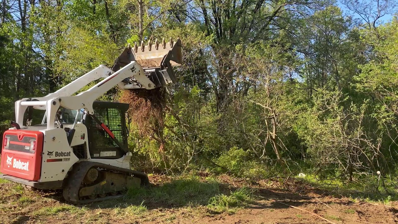 23) Ripping Up Saplings
