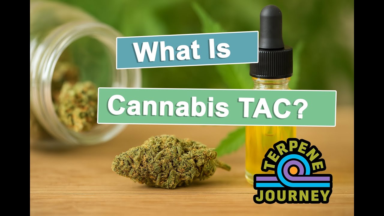 What Is Cannabis TAC