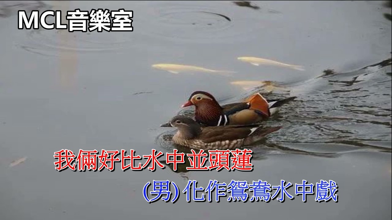 戲水鴛鴦(泣相思) 方伊琪 陳浩德 (伴唱)