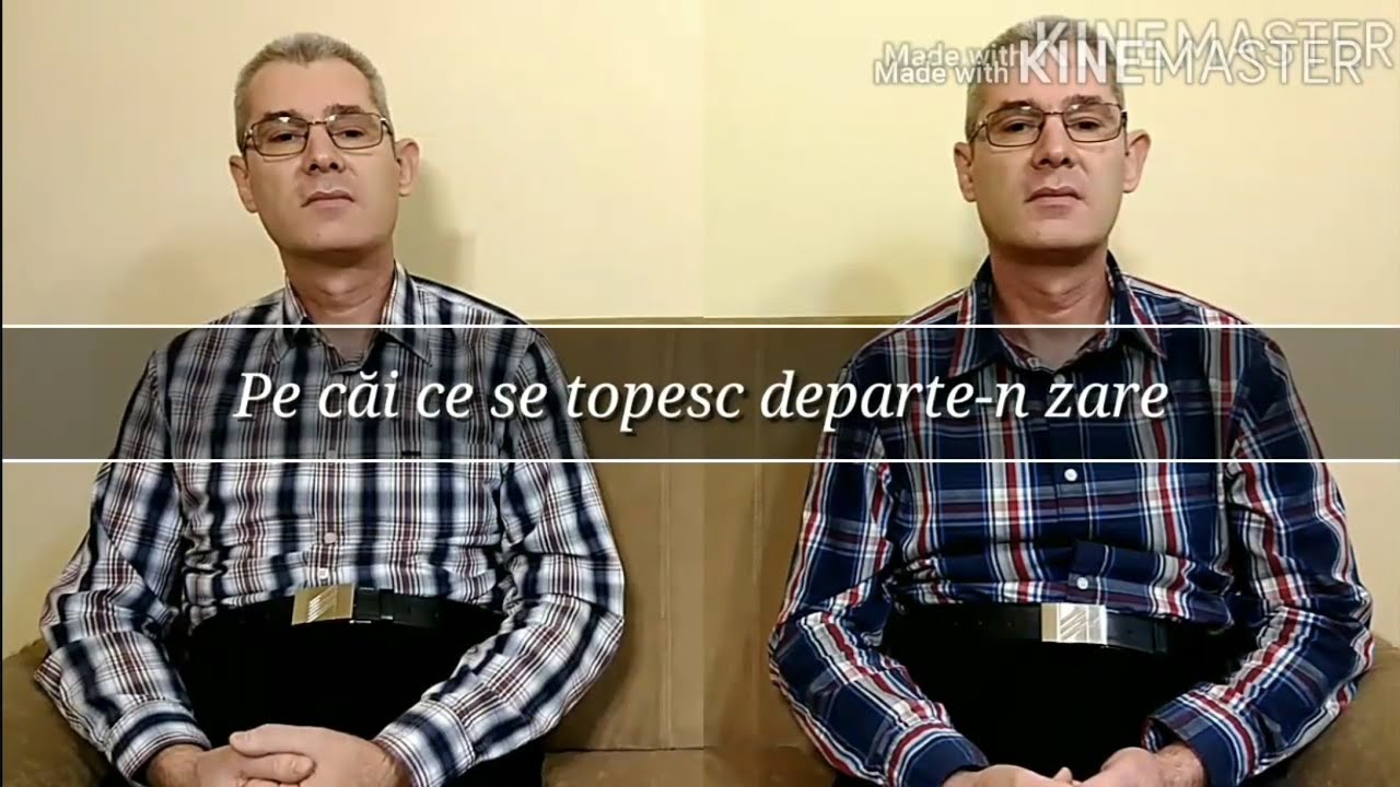 Pe căi ce se topesc departe-n zare- autor Traian Dorz