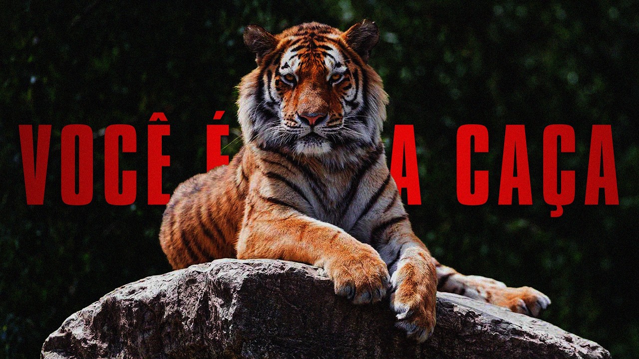 Animais que Caçam Humanos de Verdade