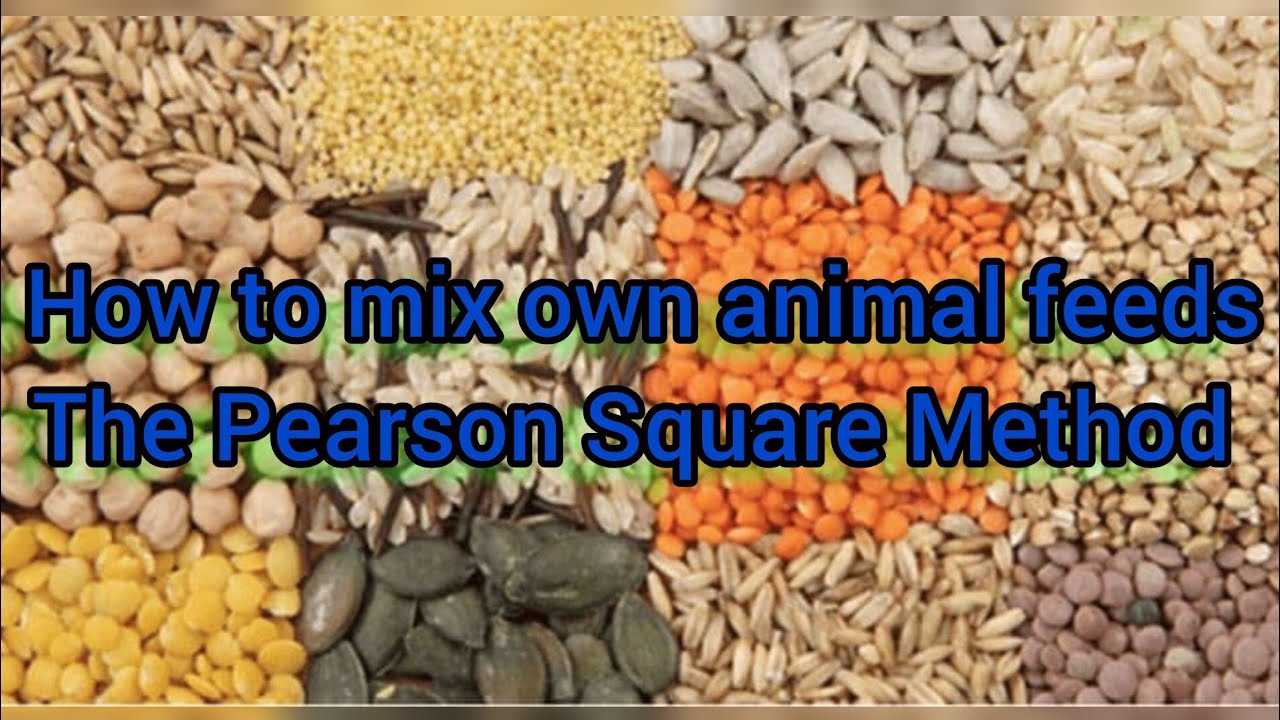 How to mix own animal feeds feeds. The Pearson Square Method