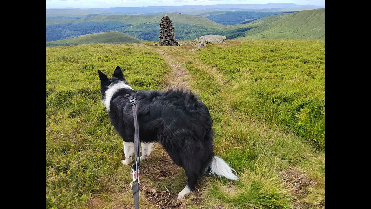 Around Waun Rydd