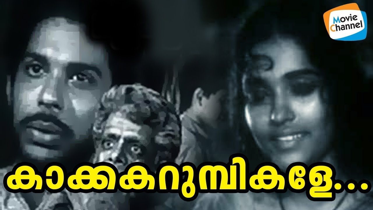 കാക്ക കറുമ്പികളേ കാര്‍മുകില്‍ തുമ്പികളേ | Ezhu Rathrikal | Old Malayalam Movie Song Malayalam