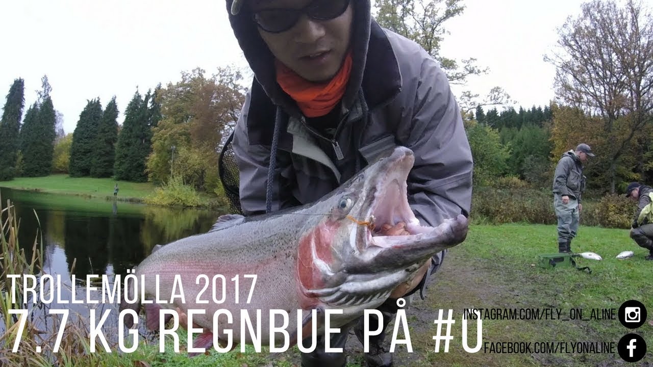 7.7 kg Regnbue p&aring; #0 - Trollem&ouml;lla 2017