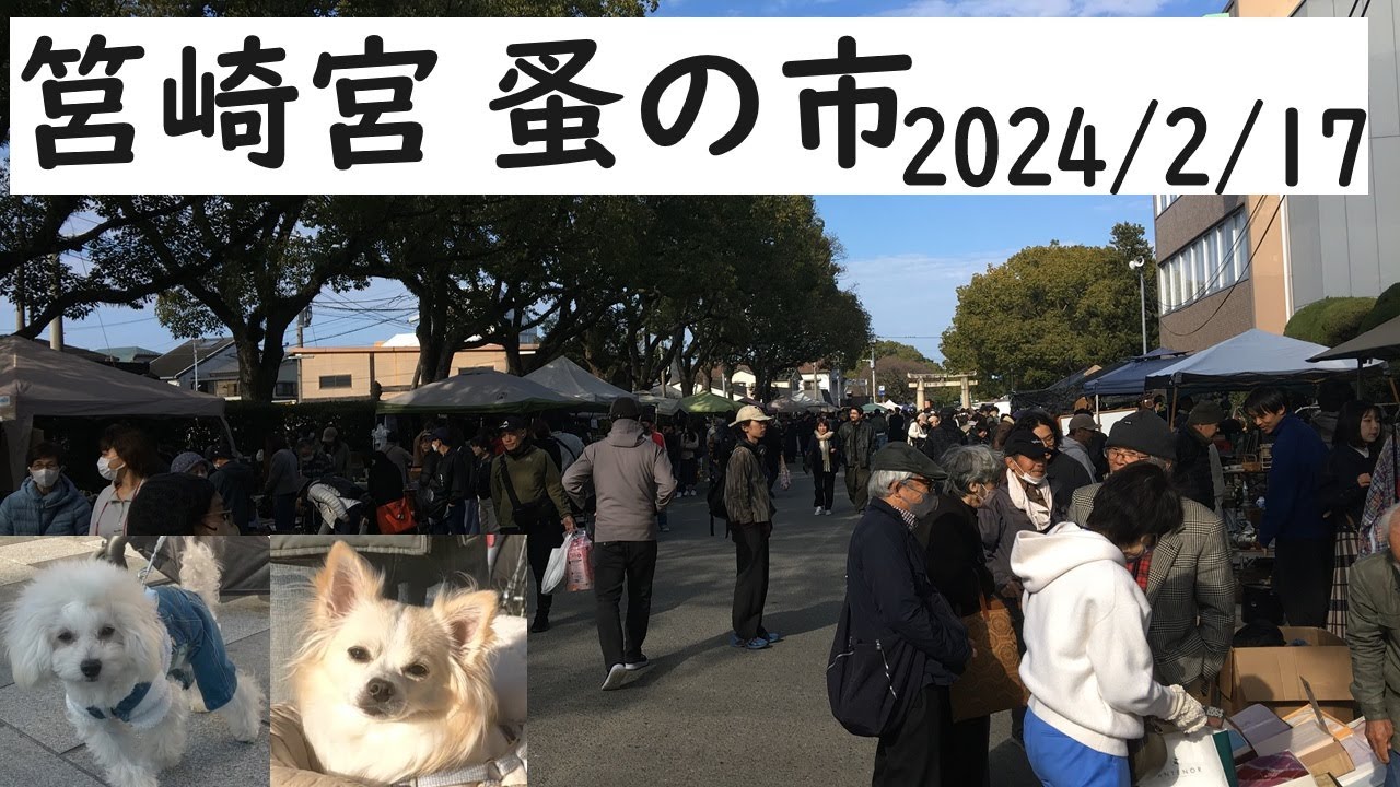 筥崎宮蚤の市　2024年2月18日