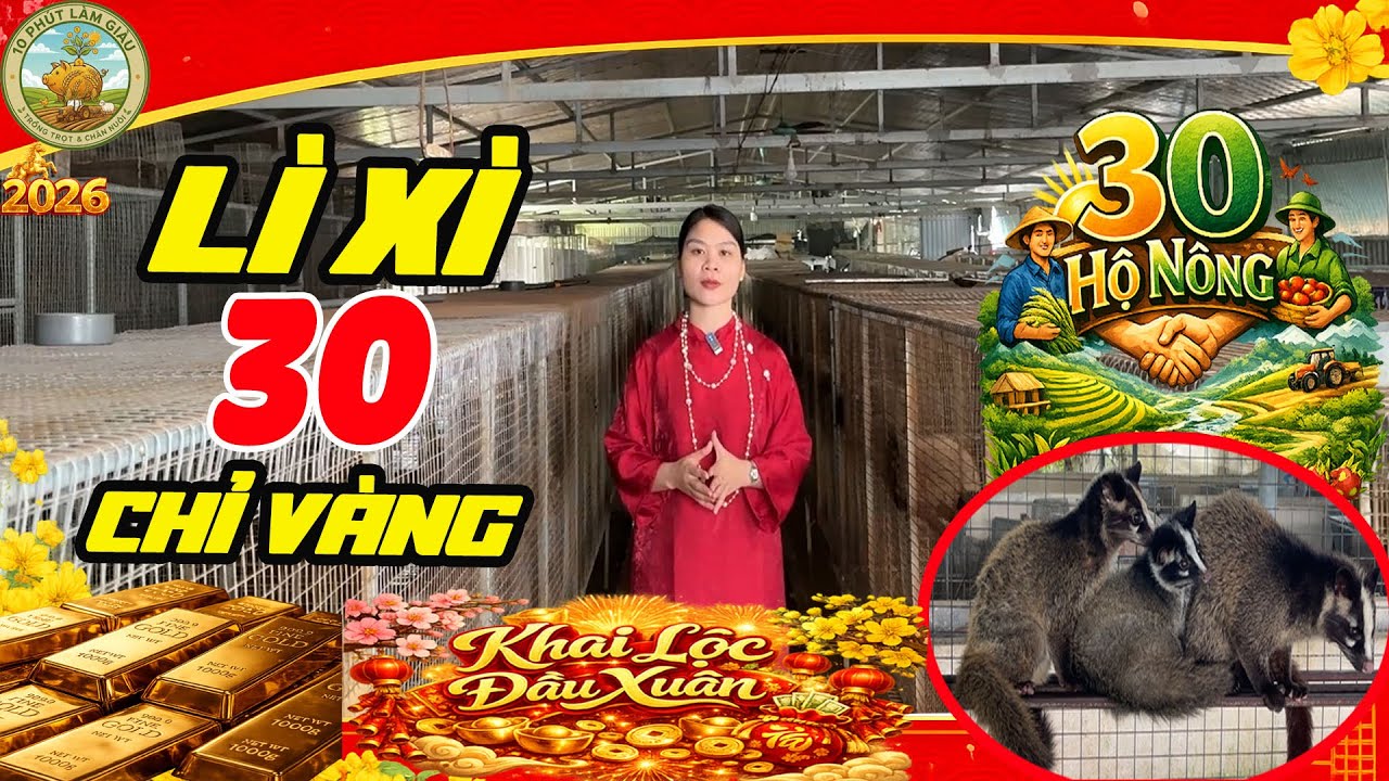 KHAI LỘC ĐẦU XUÂN 2026: 30 HỢP ĐỒNG CHỒN MỐC- 30 CHỈ VÀNG LIÊN KẾT |10 PHÚT LÀM GIÀU