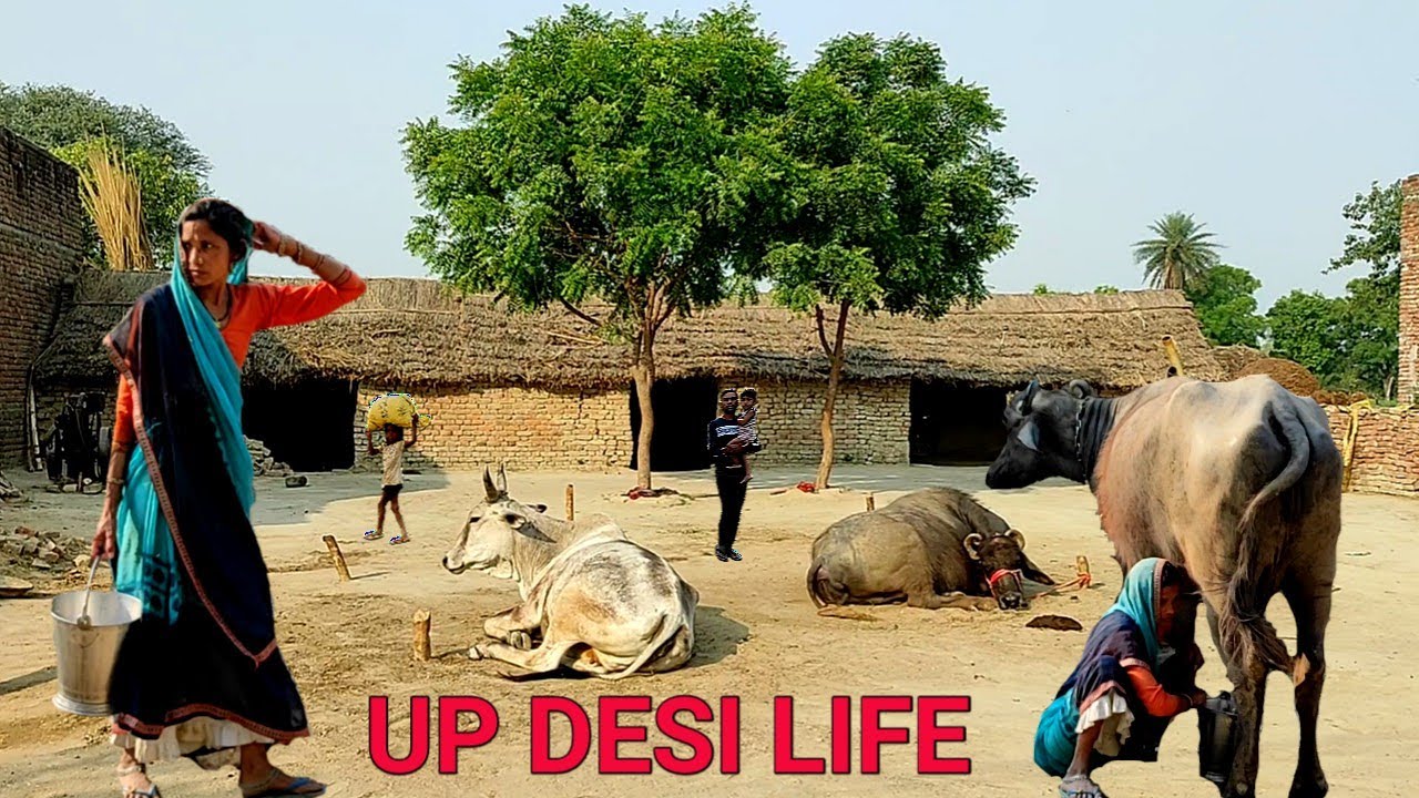 Countryside Daily Life || Village India UP || Uttar Pradesh Rural Life India