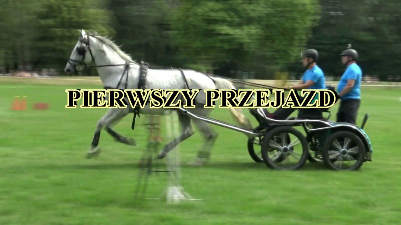 Sieraków 2018 Wiśniewski Krzysztof amatorskie zawody w powożeniu