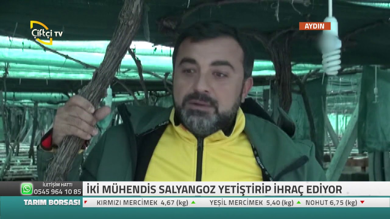 İki Mühendis Salyangoz Yetiştirip İhraç Ediyor - Haberiniz Olsun