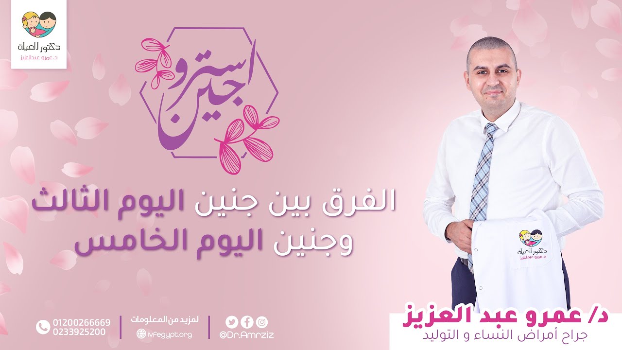 استروجين - الفرق بين جنين اليوم الثالث وجنين اليوم الخامس