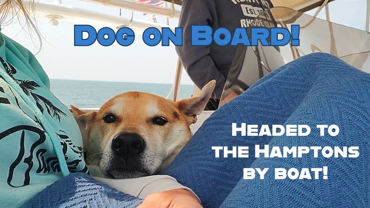 We head to the Hamptons for a weekend on the boat in Montauk with our boat dog!