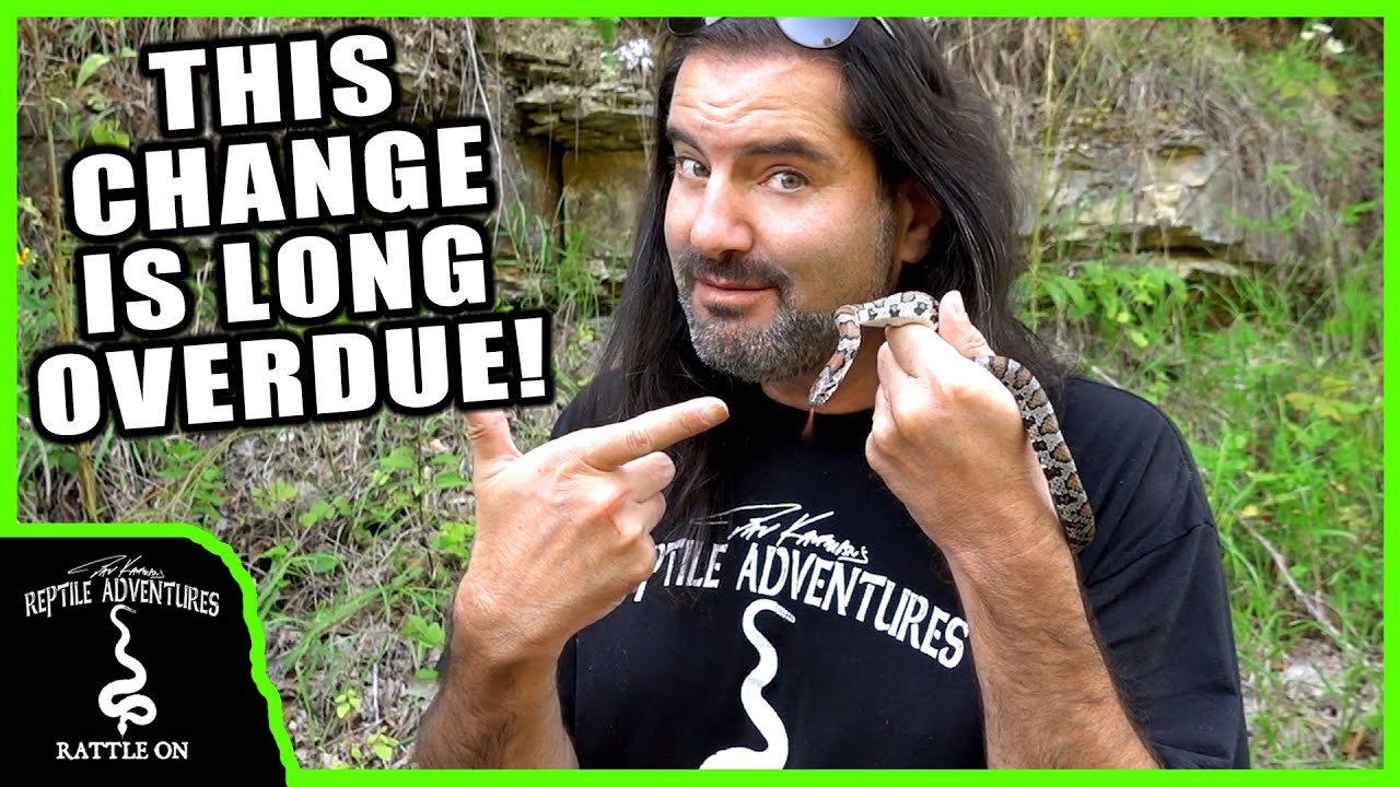 WHY I HAVE A PROBLEM WITH THIS SNAKE (and so should you)