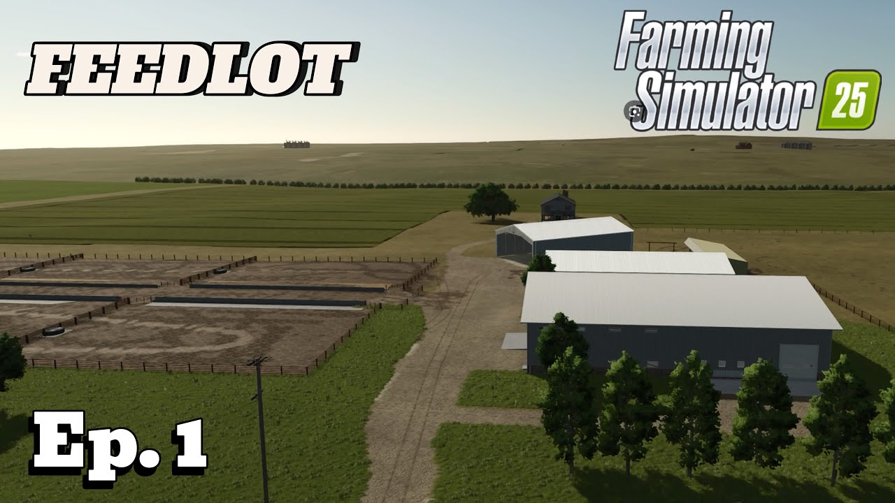 I BUILT A FEEDLOT FROM SCRATCH WORTH $2.5 MILLION (FEEDLOT) | FARMING SIMULATOR 25