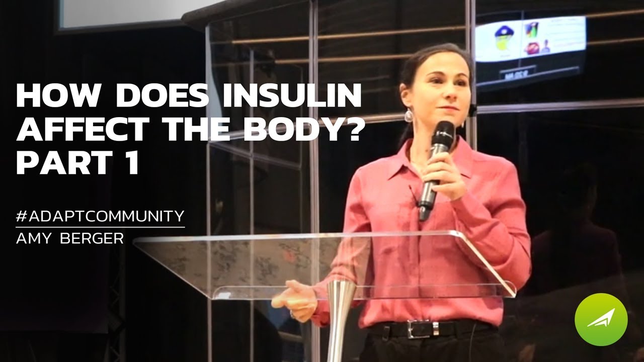 How Does Insulin Affect The Body? (Part 1) — Amy Berger