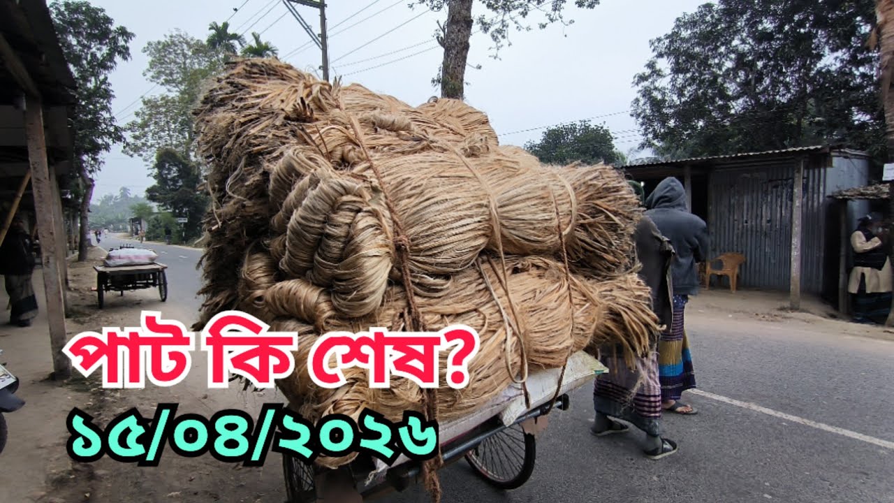 15.04.2026 পাট কি শেষ? Jute Price Today | pater bazar| Faridpur.