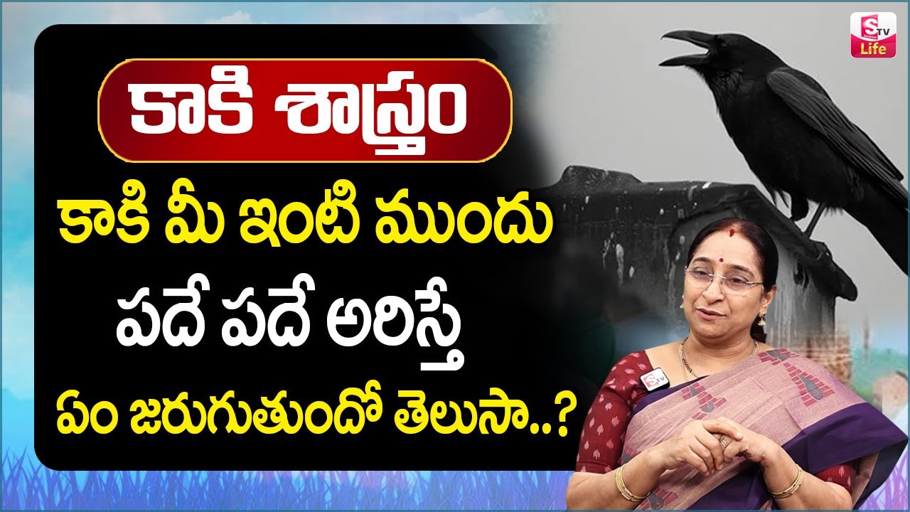 Ramaa Raavi కాకి శాస్త్రం || Kaaki Ariste || Unknown Facts About Crow Sounds || Dharma Sandehalu