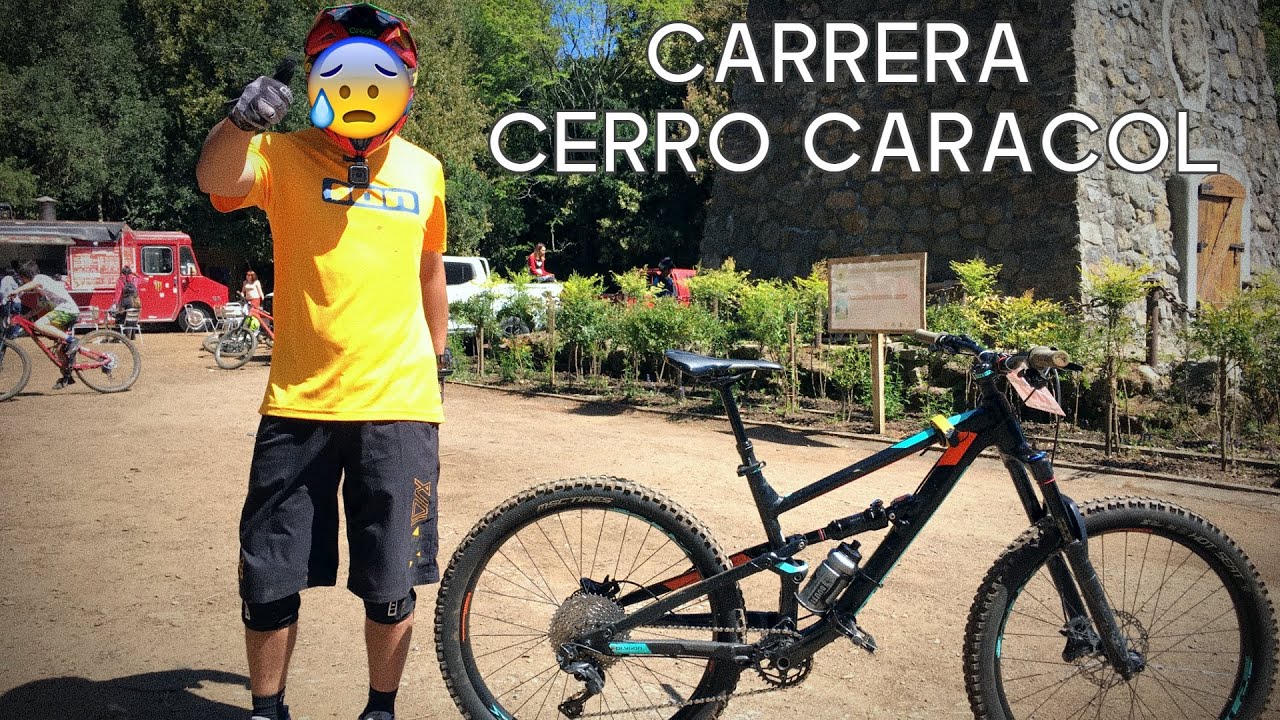 Carrera 