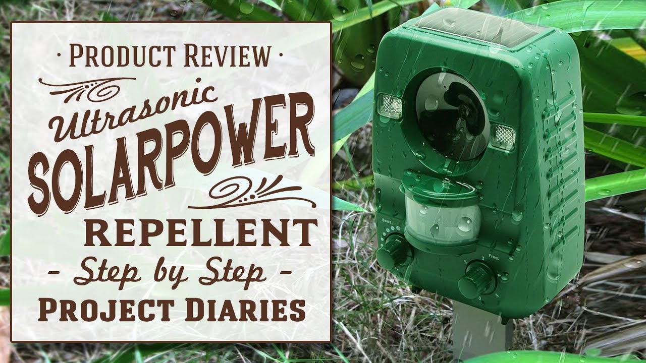 ★ Do Solar Powered Animal Repellents work? (Bquen / Anglink Product Review)