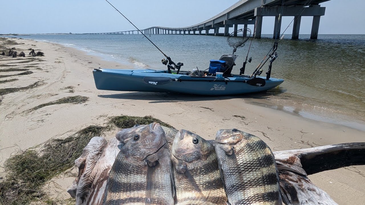 Oregon Inlet : Sheepshead Kayak Fishing Catch/Clean & Cook