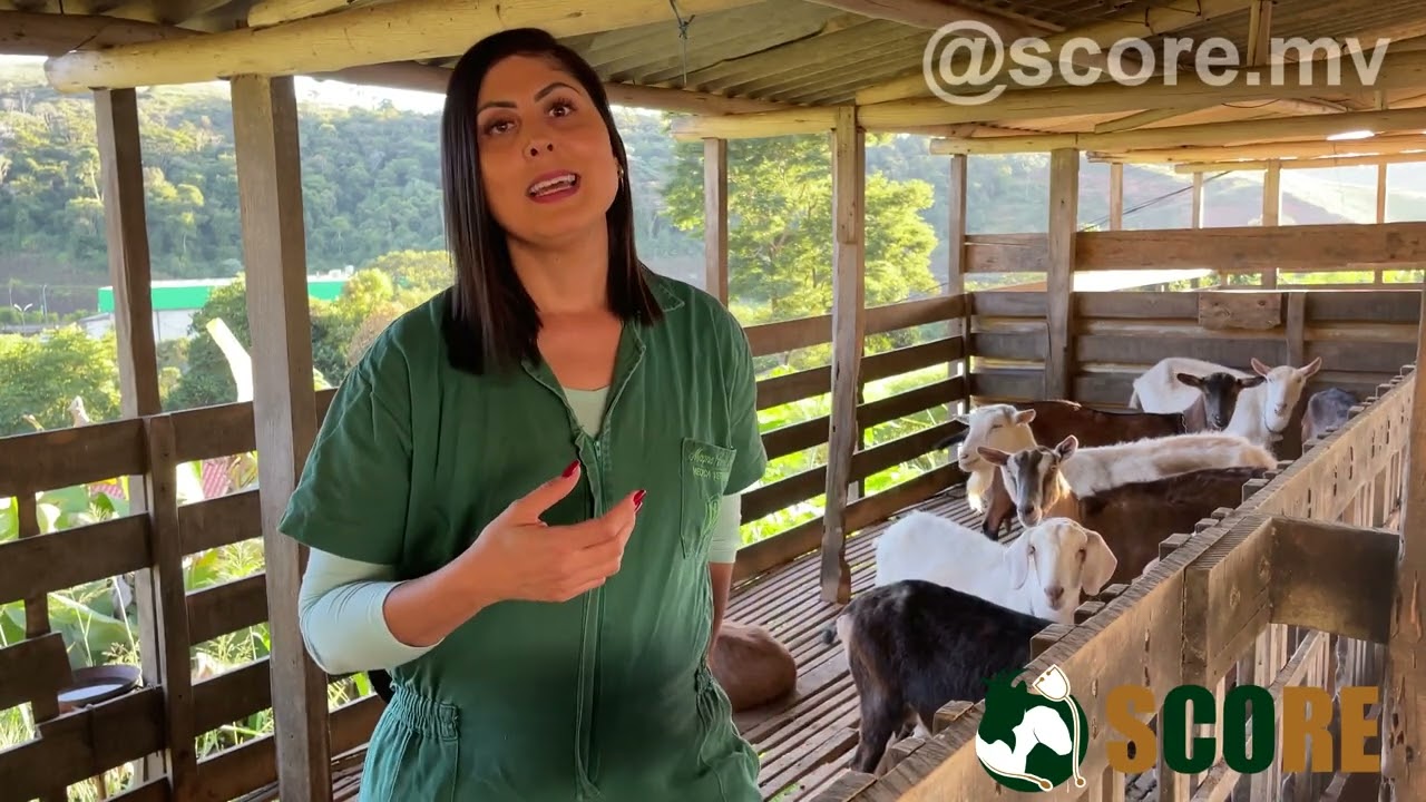 Benef&iacute;cios do leite de cabra
