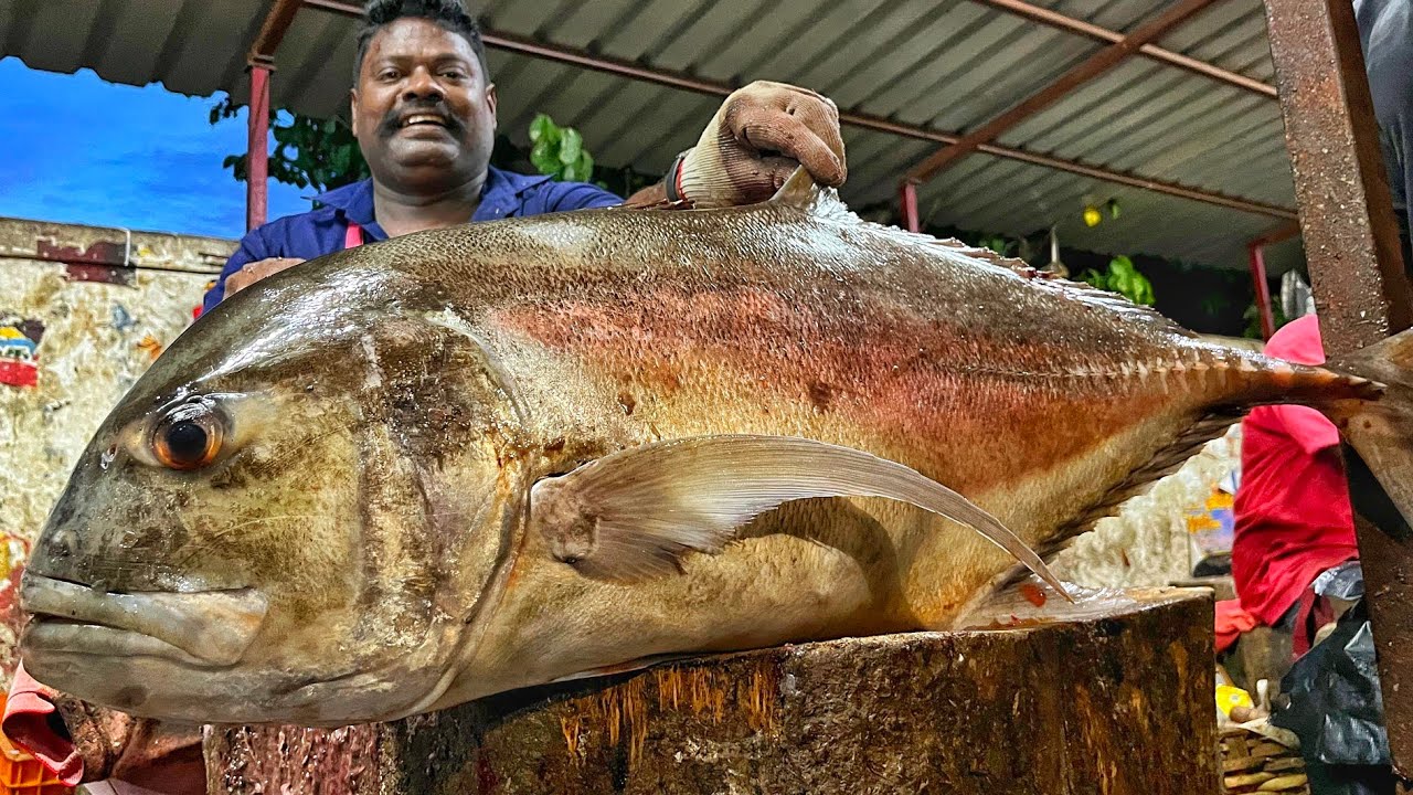KASIMEDU SPEED SELVAM | HUGE TRAVELLY FISH CUTTING VIDEO | 4K VIDEO | KM FISH CUTTING 