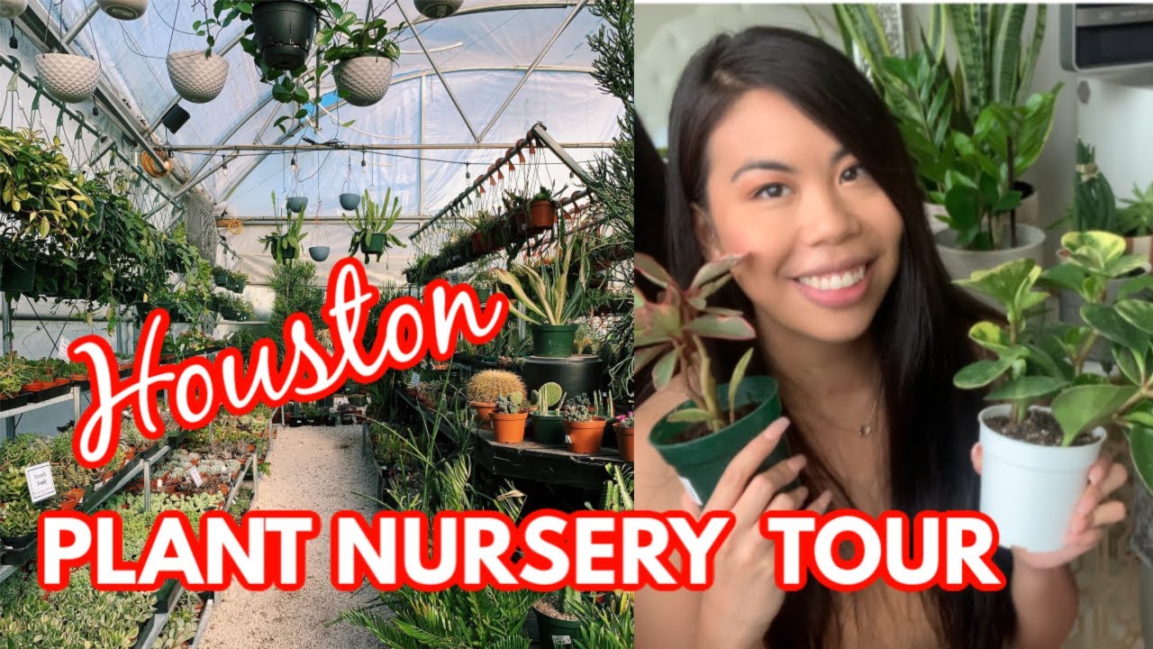 TOP HOUSTON PLANT NURSERY! BUCHANAN'S NATIVE PLANTS TOUR + HAUL