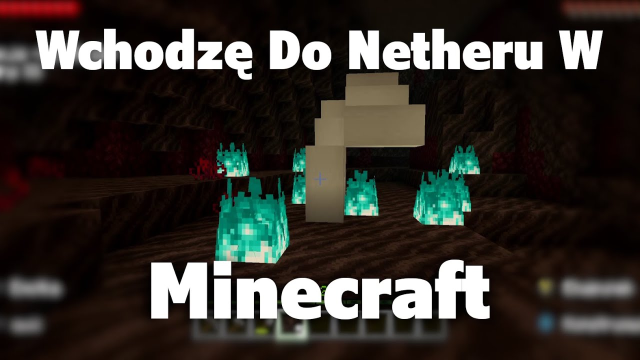 Wchodzę Do Netheru W Minecraft