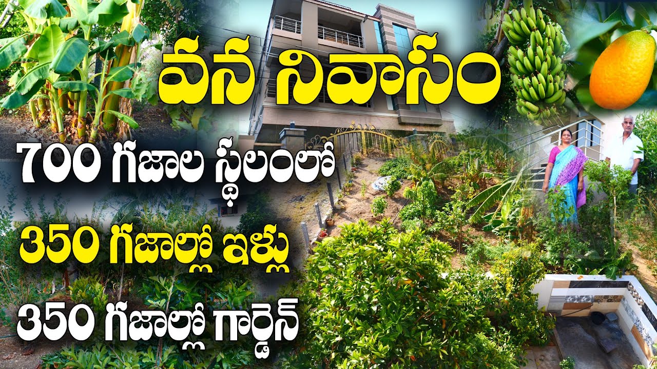 వావ్.. ఇంటి పక్కనే నచ్చిన పంటలు - ఎప్పుడంటే అప్పుడు తినొచ్చు | Home Gardening | A Satyanarayana