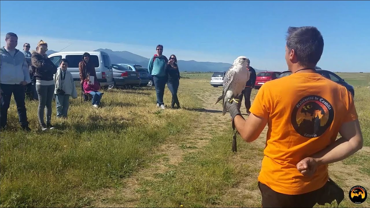 CETRERÍA - CURSO DE INICIACIÓN - 2015