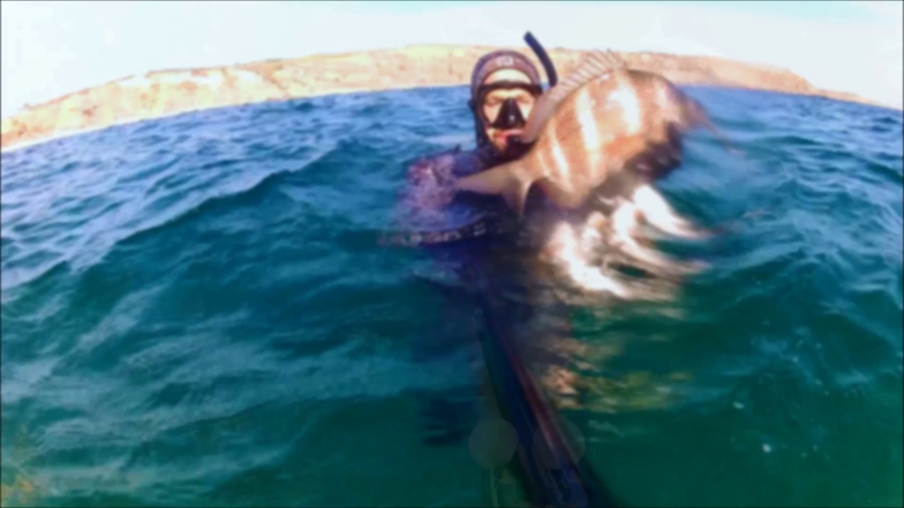 Pesca Submarina & Spearfishing :: David Franco :: Portugal
