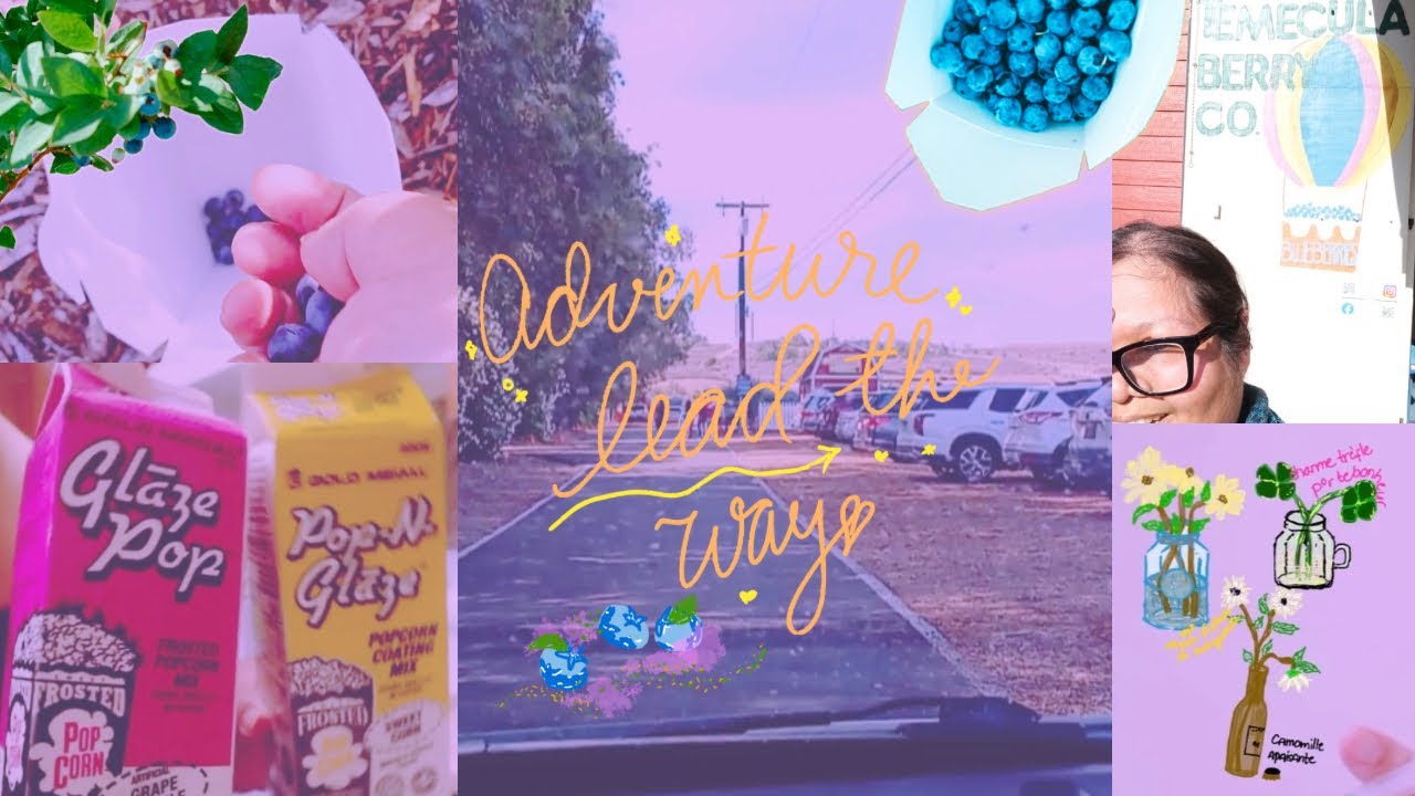 Terrific adventures, slow day leisure at the library, come with me and see blueberry u-pick farm