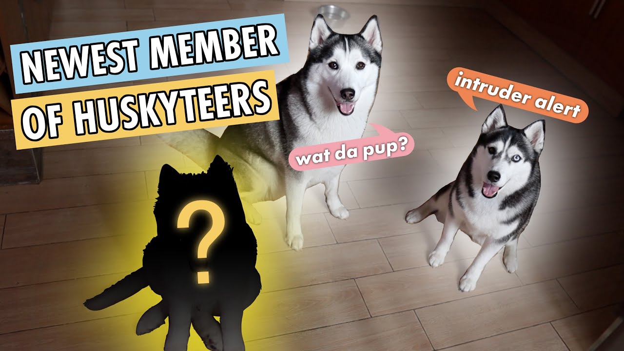 MAY SIKRETO KAMING TINATAGO SA INYO...