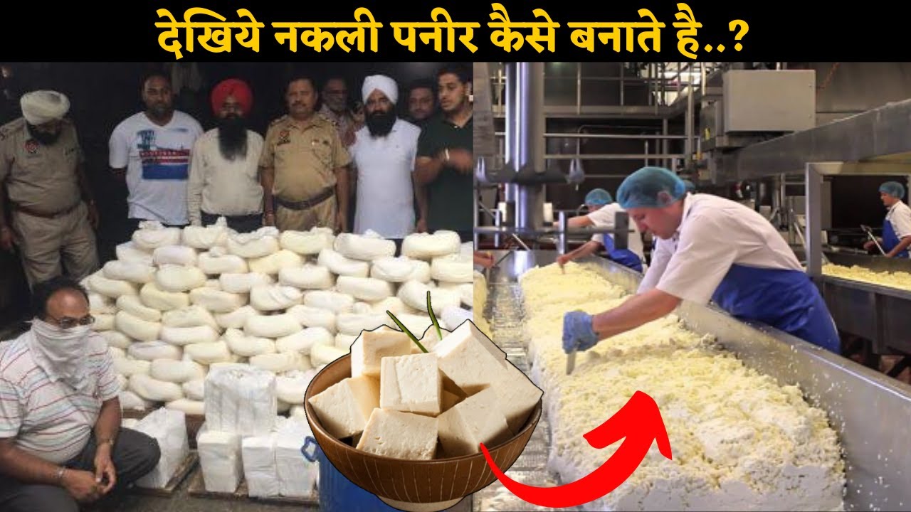 देख लो फैक्ट्री में कैसे बनता है हज़ारों टन नकली पनीर.? | How fake paneer is made in Factory | #fake