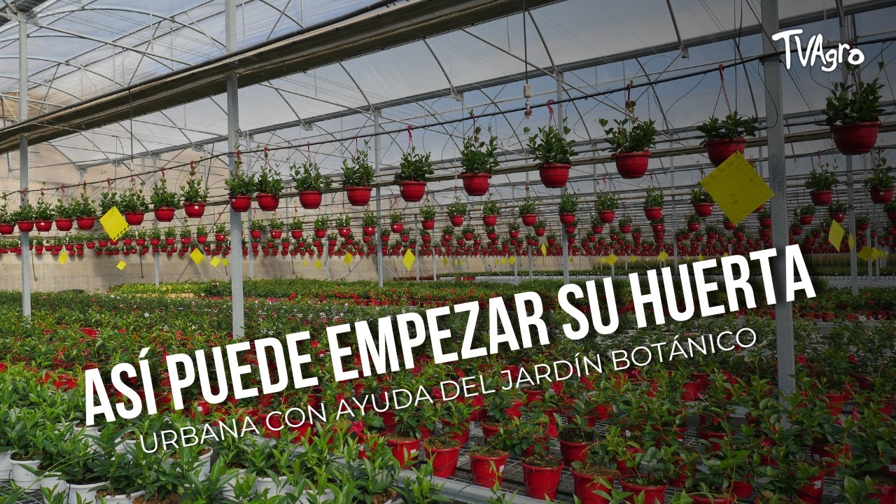 Así puede empezar su huerta urbana con ayuda del jardín botánico - TvAgro por Juan Gonzalo Angel