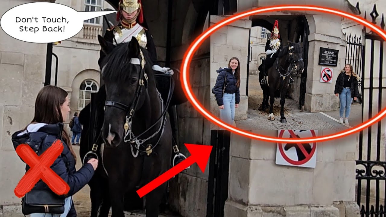 Thank You Guard!🙏He tells tourist to Step Back and Don't Touch The Horse!