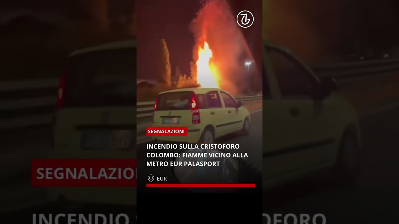 EUR: incendio sulla Cristoforo Colombo #eur #roma #romasud #Romeur #tgeur #notizie #video #incendio