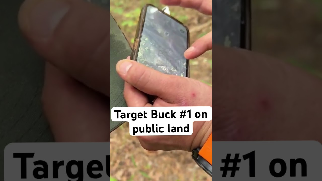 Target Acquired: First Look at Our Buck for 2024 Bow Season! 